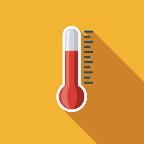 canicule