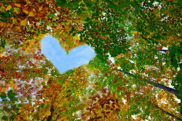 territoire des aidants octobre 2024