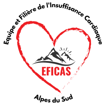 Logo EFICAS