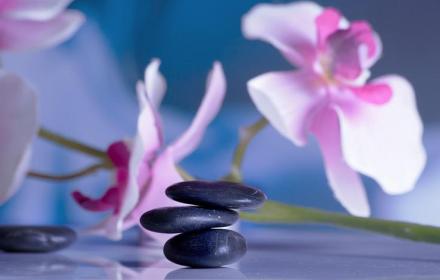 réduction du stress pour les aidants