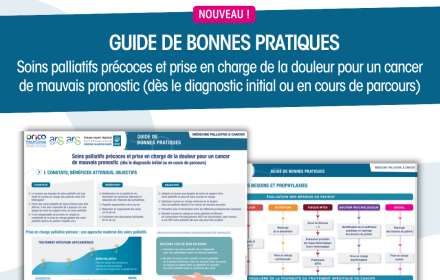 guides de bonnes pratiques cancer
